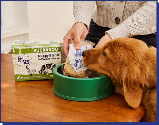 Chicken for Puppies