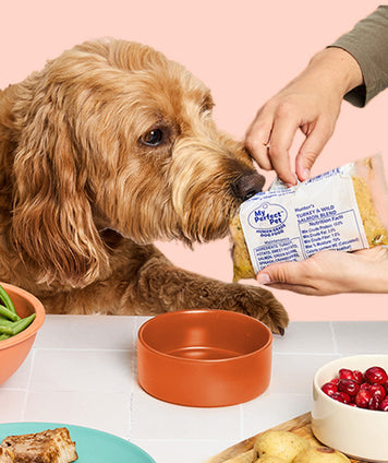 Turkey and Wild Salmon