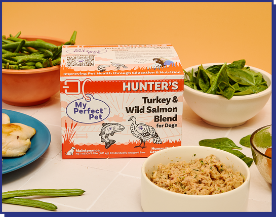 Turkey and Wild Salmon