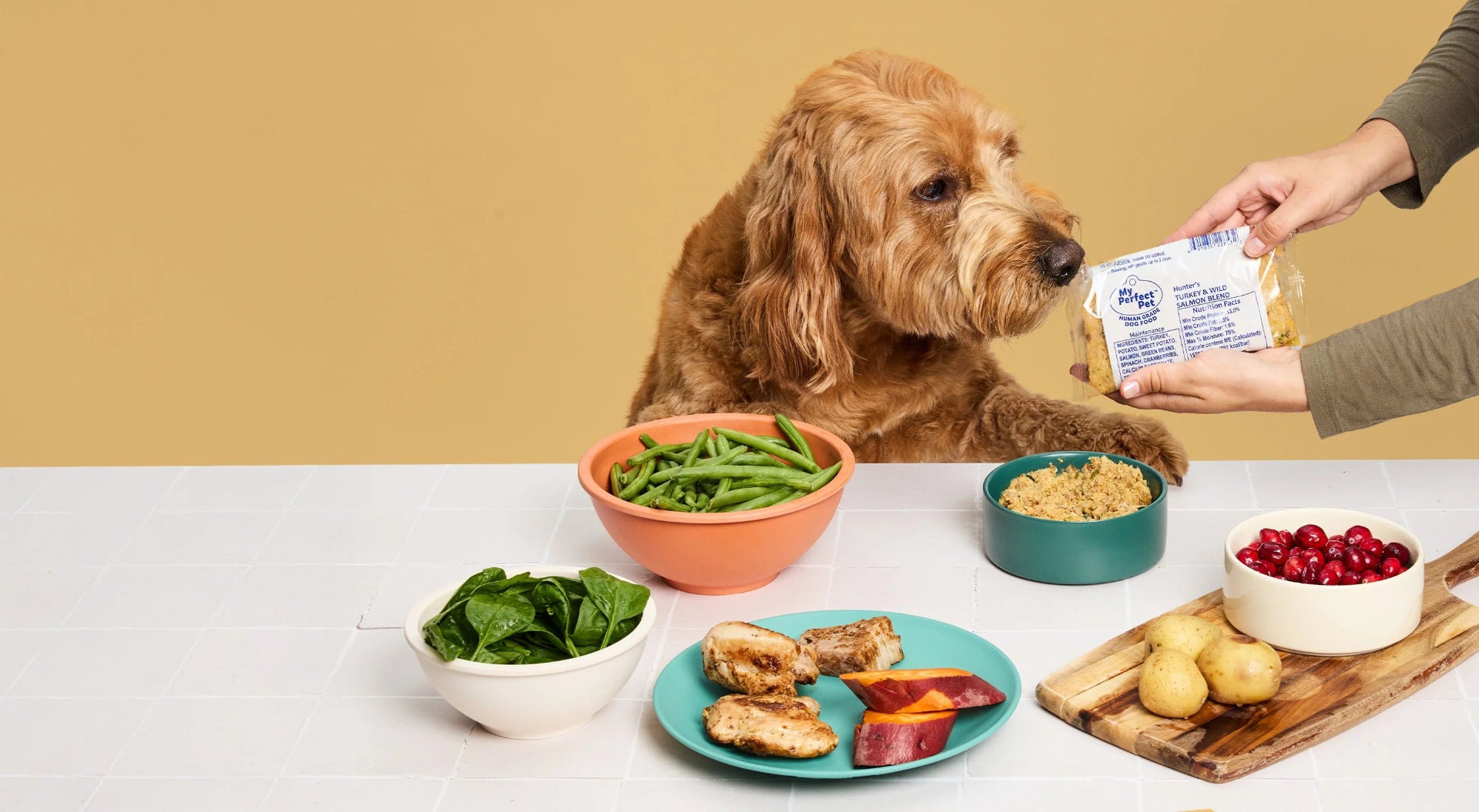 Your Pet Deserves Perfect