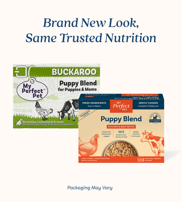 Chicken for Puppies