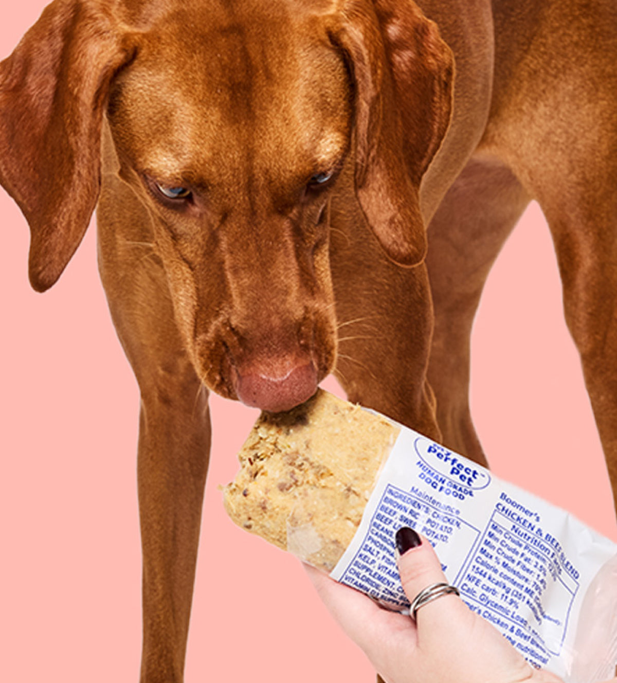 Chicken and Beef Blend from My Perfect Pet Food