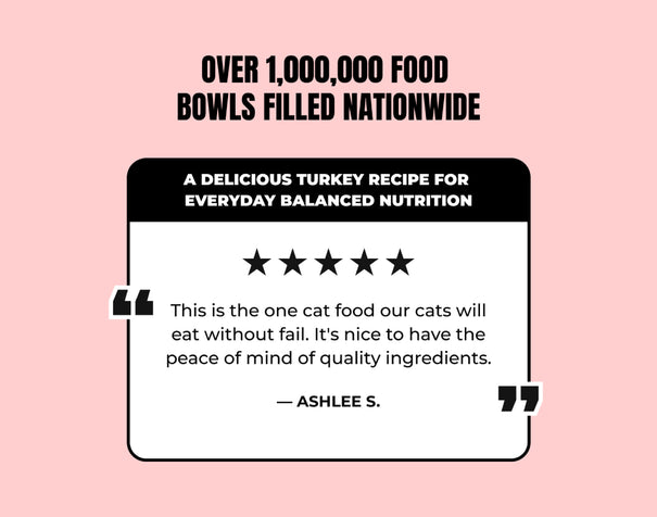 Turkey Carnivore