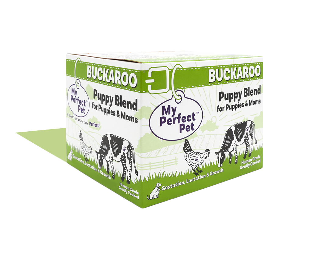 My Perfect Pet Buckaroo Puppy Blend
