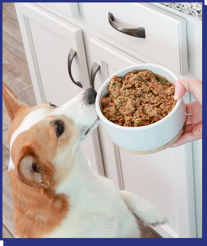 
              Glycemic Friendly Beef Grain Free Blend
            