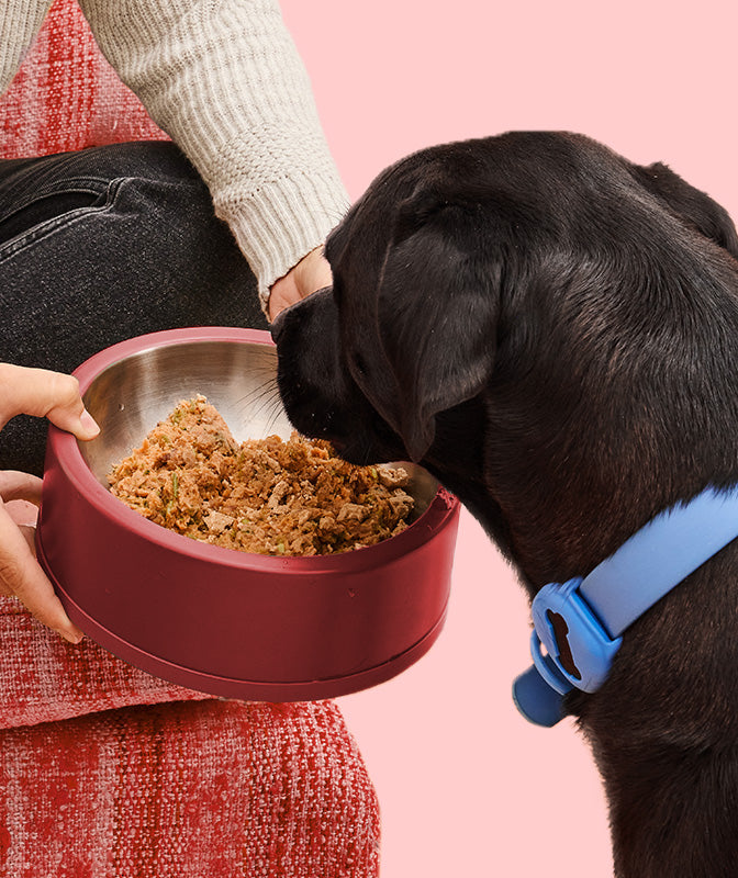 
              Glycemic Friendly Beef Grain Free Blend
            