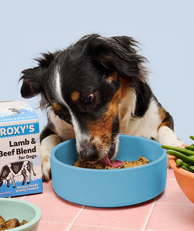 
              Lamb and Beef Grain Free Blend
            