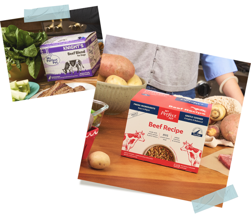 <p>New Look. </p><p>Same Ingredients. </p><p>Better Nutrition.</p>