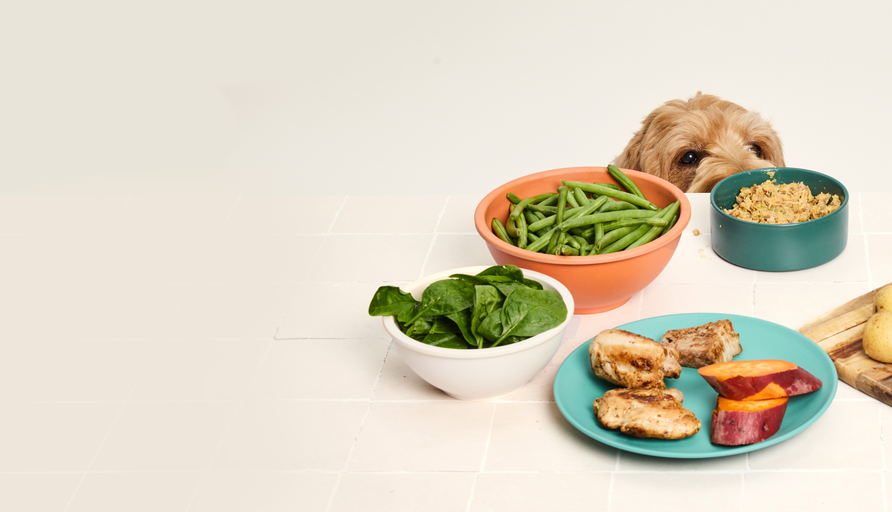 Our Fresh Food Trial