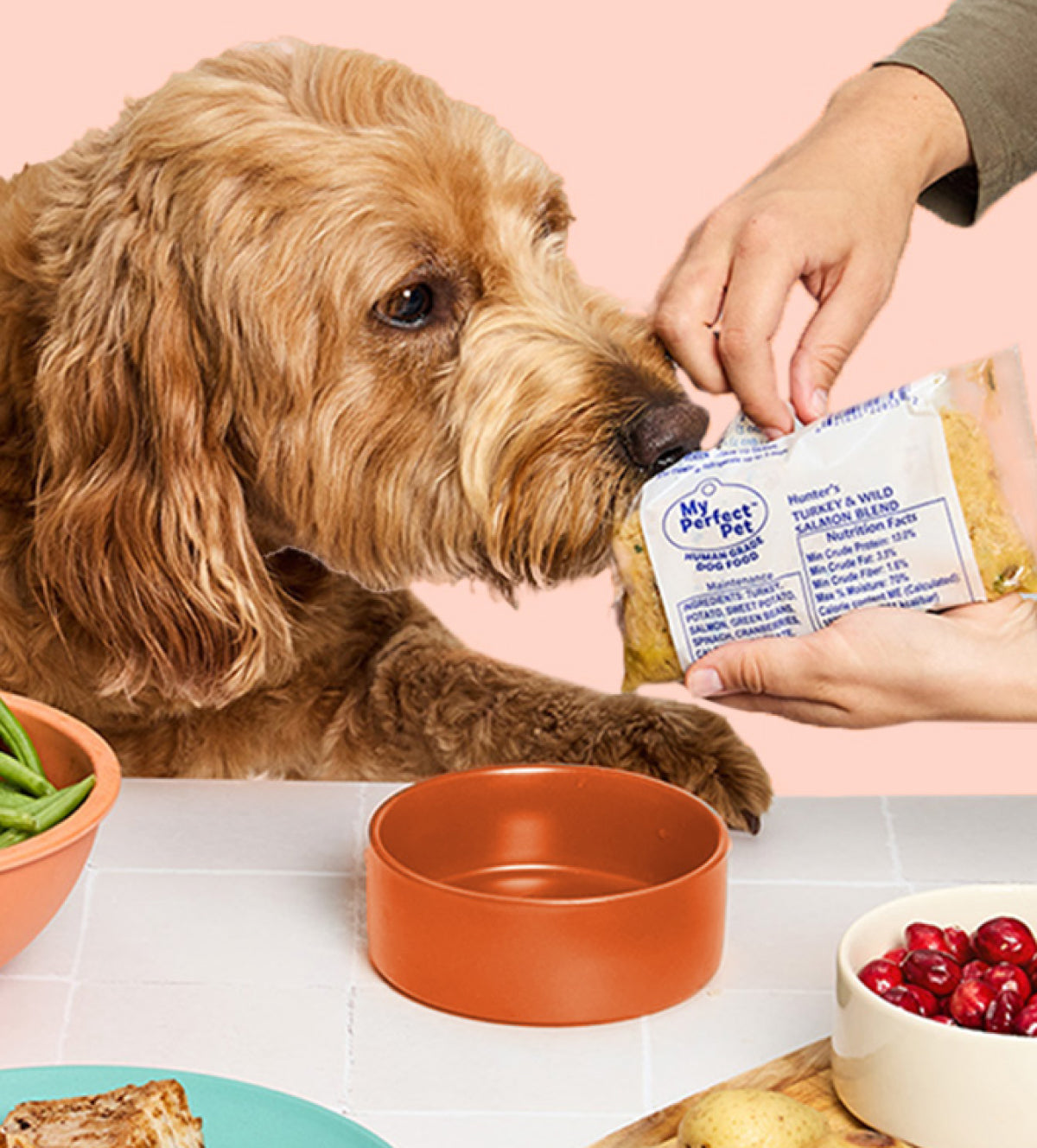 Turkey and Wild Salmon Blend from My Perfect Pet Food