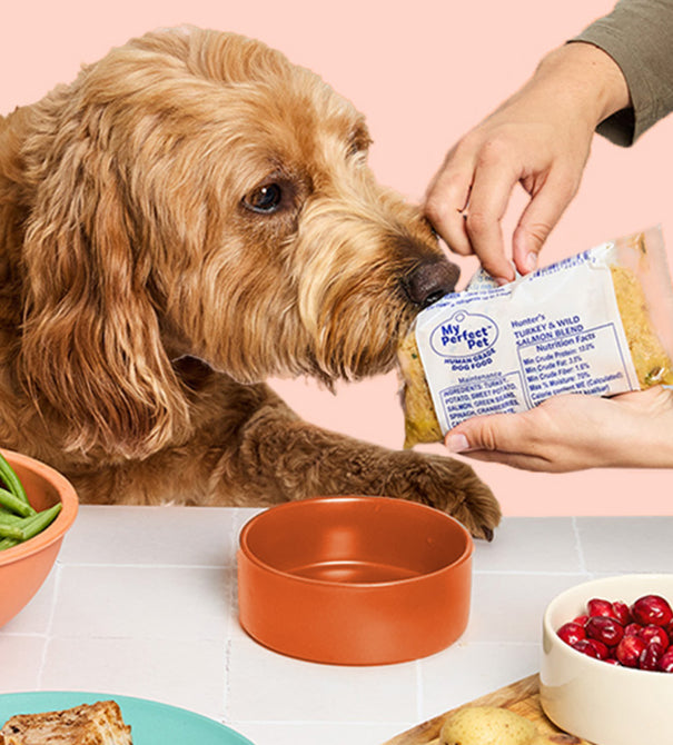 Turkey and Wild Salmon