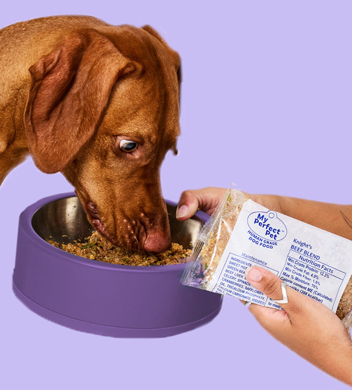 Beef Blend Knight's from My Perfect Pet Food