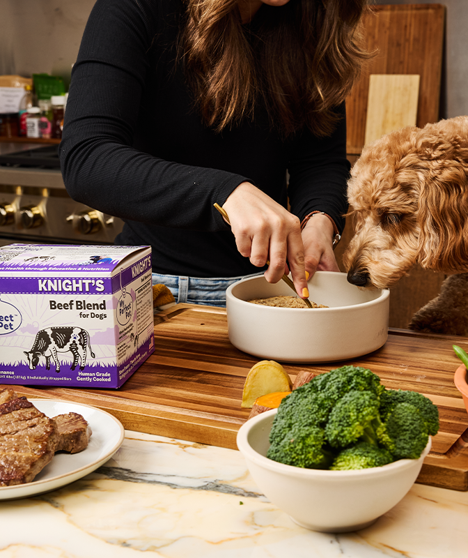 
              Beef Grain Free Blend
            