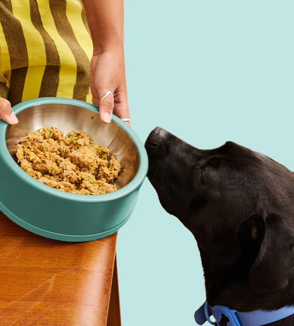 Low Phosphorus Lamb and Rice