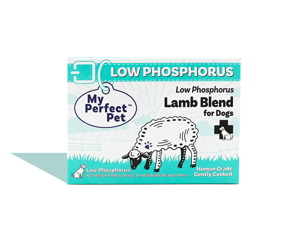 Low protein low phosphorus dog food clearance