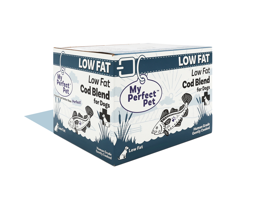 files/Low_Fat_Cod_Front_Angle_2ccc1a53-e150-4d1d-a3ee-79b5713a782b.png