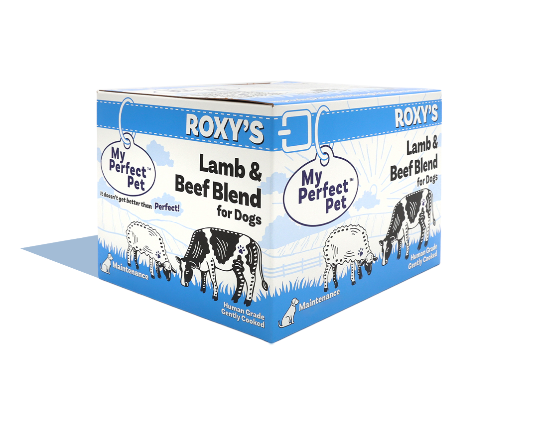 files/Roxys_Front_Angle_dacebddc-8dec-4490-8c1f-f33ee8dde898.png