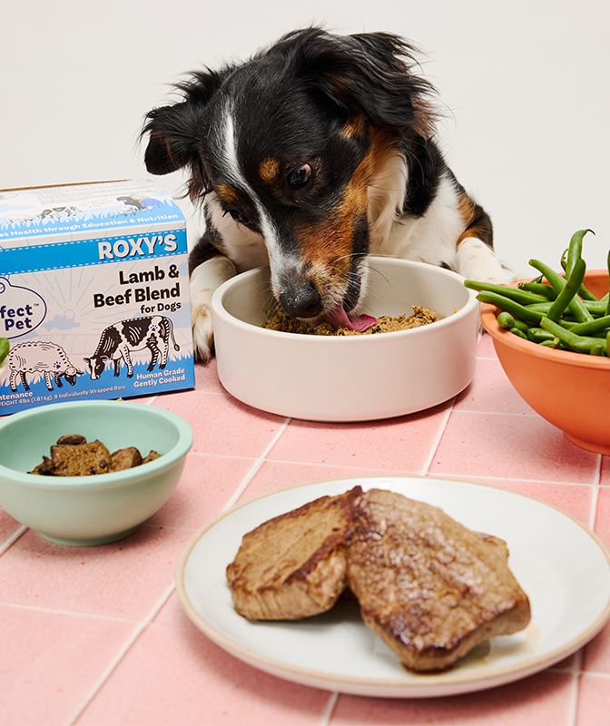 
              Lamb and Beef Grain Free Blend
            