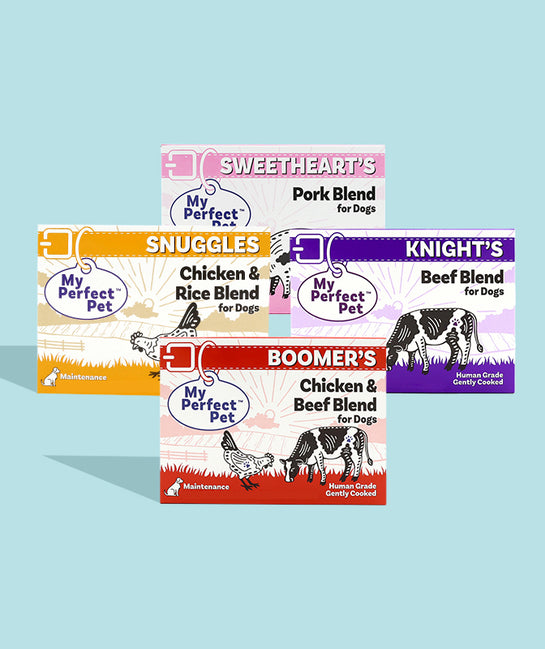 Sampler Pack 14 bars for 5-week trial, then 42 bars every 16 weeks
