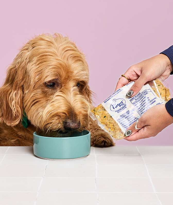 
              Pork Grain Free Blend
            