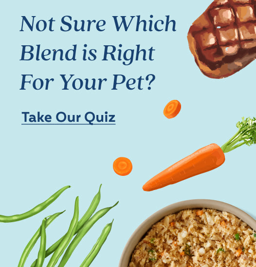 Take our quiz