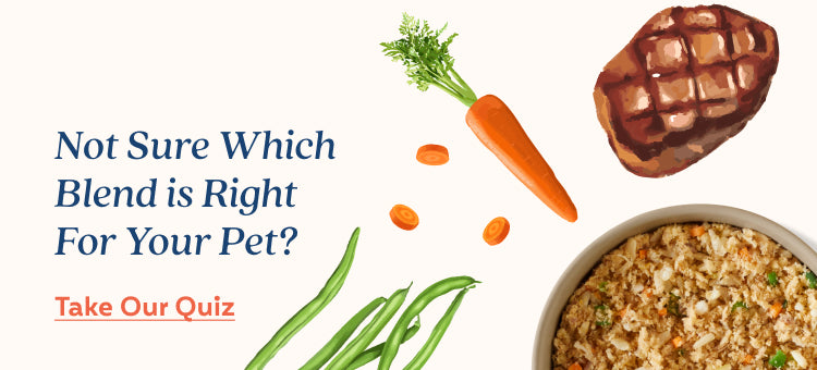 Take our quiz