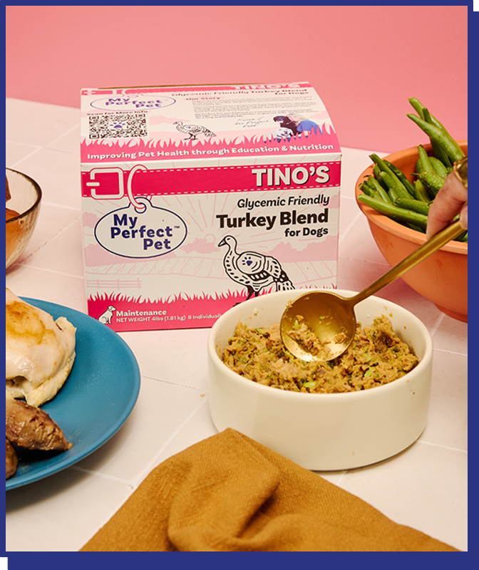 
              Turkey and Wild Salmon Grain Free Blend
            