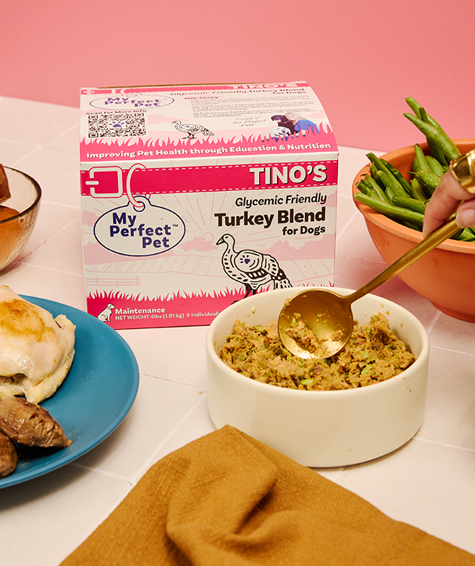 
              Glycemic Friendly Turkey Grain Free Blend
            