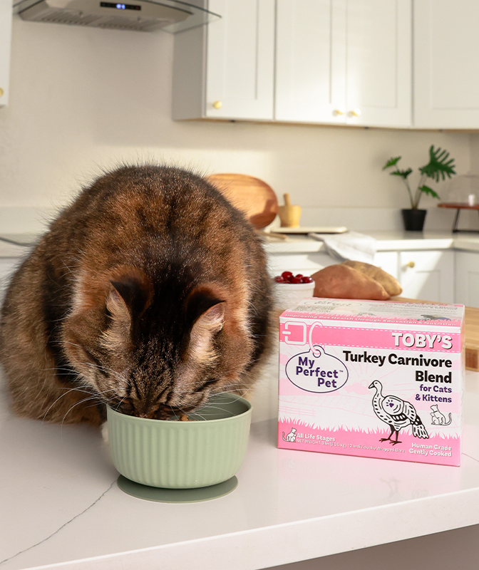 
              Turkey Carnivore Grain Free Blend
            