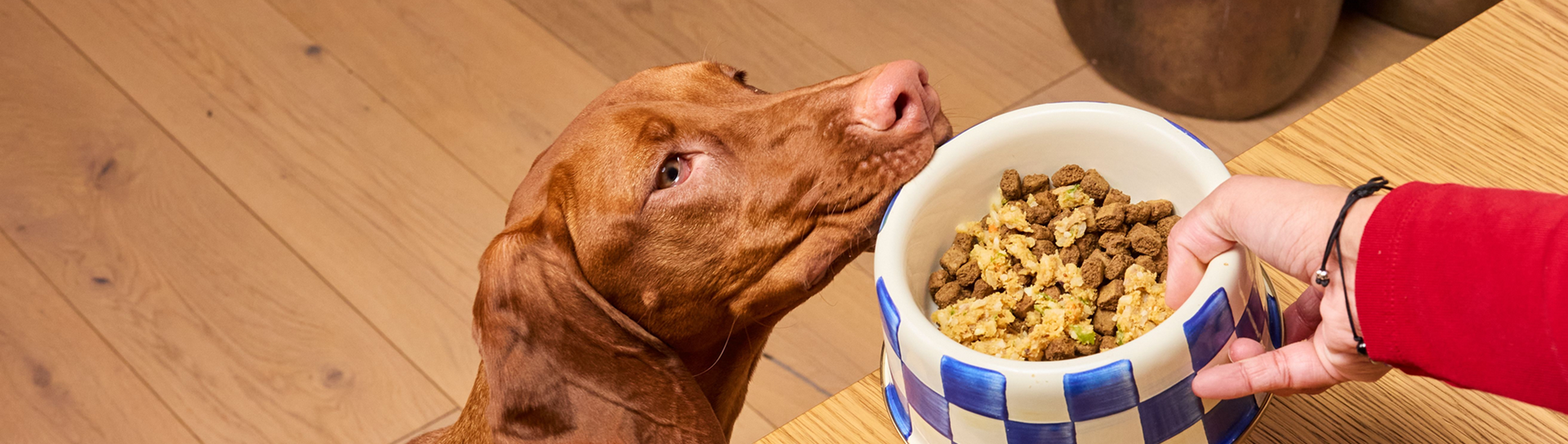 Nutrition that looks good,  and tastes  even better.