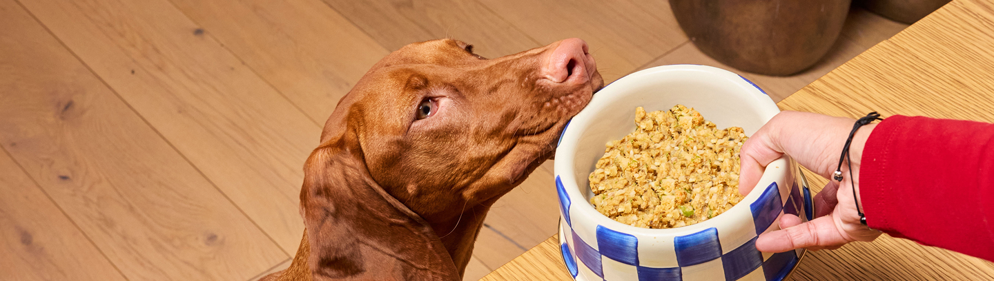 Nutrition that looks good,  and tastes  even better.